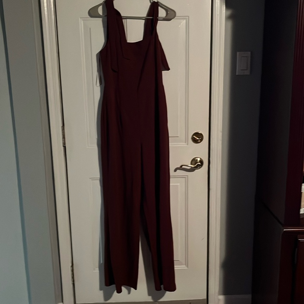 Selling brand new with tags burgundy jumpsuit from Francesca’s